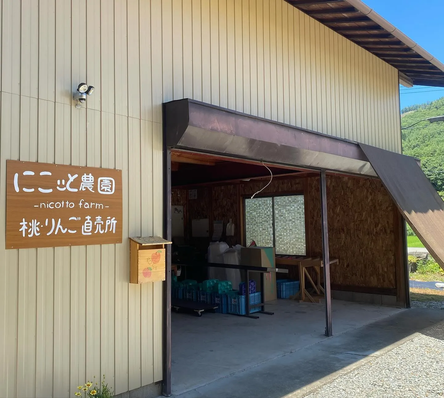 【直売所】飛騨桃の購入はにこッと農園直売所で